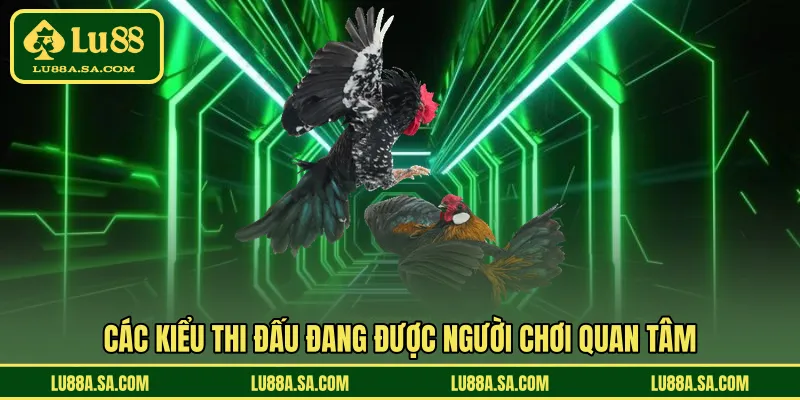 Các kiểu thi đấu đang được người chơi quan tâm nhiều hiện nay 