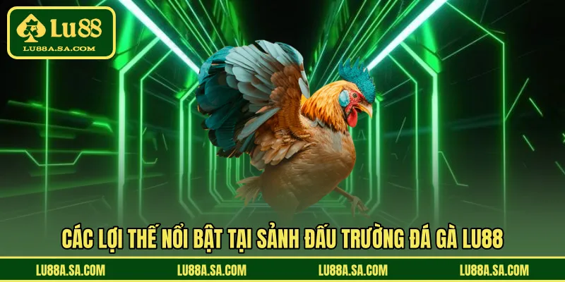Các lợi thế nổi bật tại sảnh đấu trường đá gà LU88 