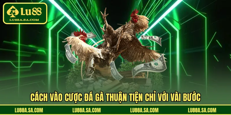 Cách vào cược đá gà thuận tiện chỉ với vài bước 