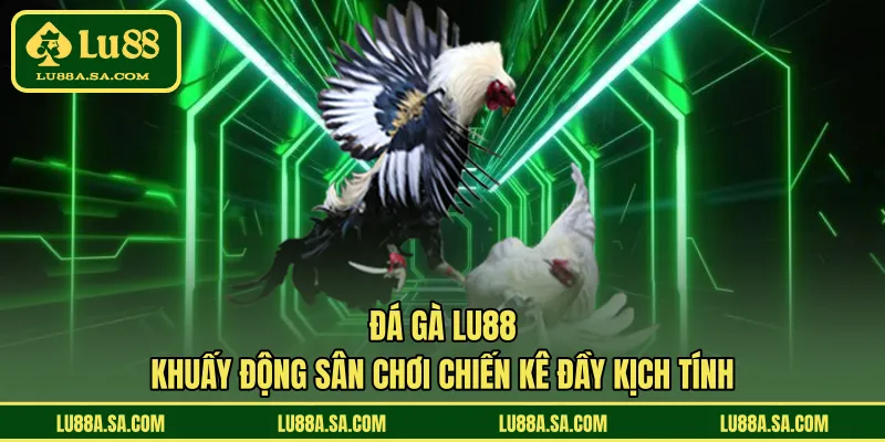 Đá gà LU88
