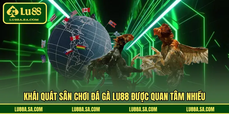 Khái quát sân chơi đá gà LU88 được quan tâm nhiều 