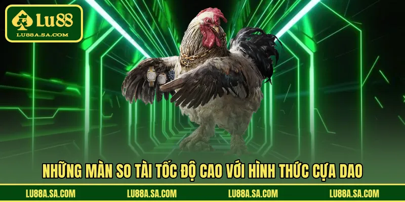 Những màn so tài tốc độ cao với hình thức cựa dao 